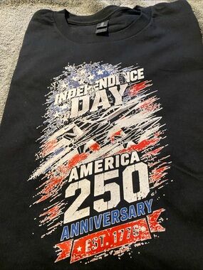 Gildan Black Graphic Tee with Red, White & Blue Independence Design
